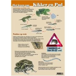 Tringa Paintings Natuur Zoekkaarten Het Leven Van Kikker En Pad