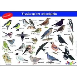 Tringa Paintings Doekaart- Vogels Op Het Schoolplein