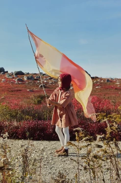 Sarah's Silks Speelzijde Sarah's Silks Giant Play Silk Earth Desert