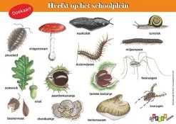 Tringa Paintings Tringa Paintings Doekaart Herfst