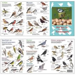 Tringa Paintings Wie Ben Ik? Compacte Zoekkaart Tuinvogels