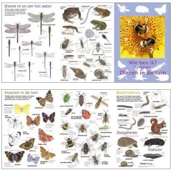 Tringa Paintings Wie Ben Ik? Compacte Zoekkaart Dieren In De Tuin