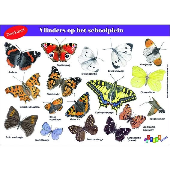 Tringa Paintings Doekaart- Vlinders Op Het Schoolplein