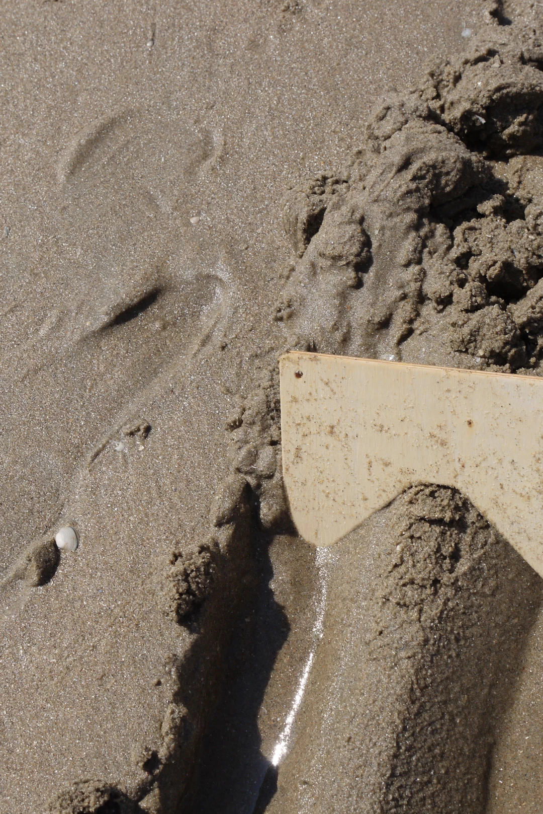 Speelbelovend Speelbelovend Zomerse Zandkammen - Afbeelding 6