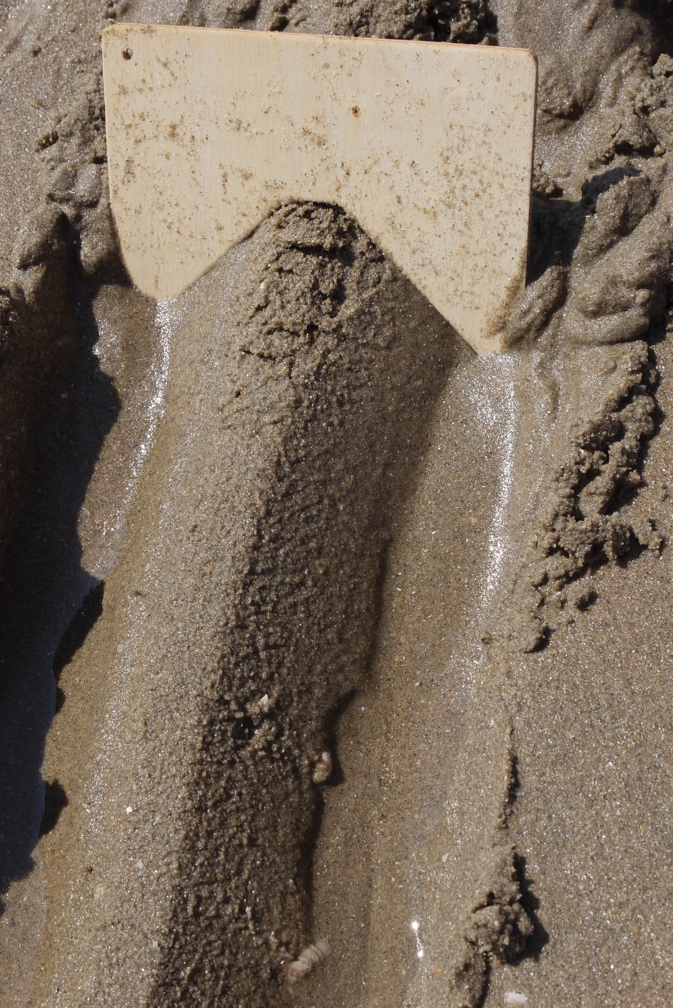 Speelbelovend Speelbelovend Zomerse Zandkammen - Afbeelding 8