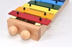 Voggenreiter Kindermuziekinstrumenten Mijn Eerste Xylofoon Met 9 Tonen