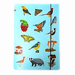 Tringa Paintings Opbergmap Herkenningskaarten