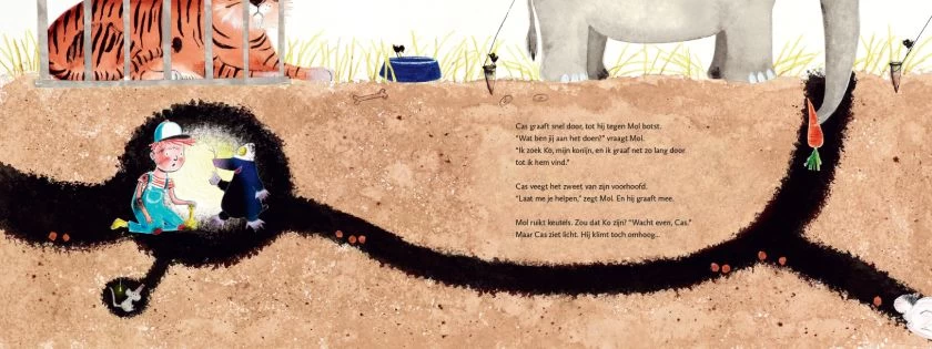 De Vier Windstreken Kinderboeken Prentenboek Waar Is Ko? - Afbeelding 2