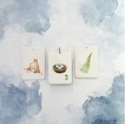 In A Flash Cards In A Flash Kaartset Woodland Friends