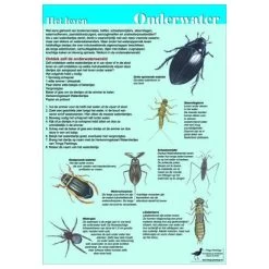 Tringa Paintings Natuur Zoekkaarten Het Leven Onderwater