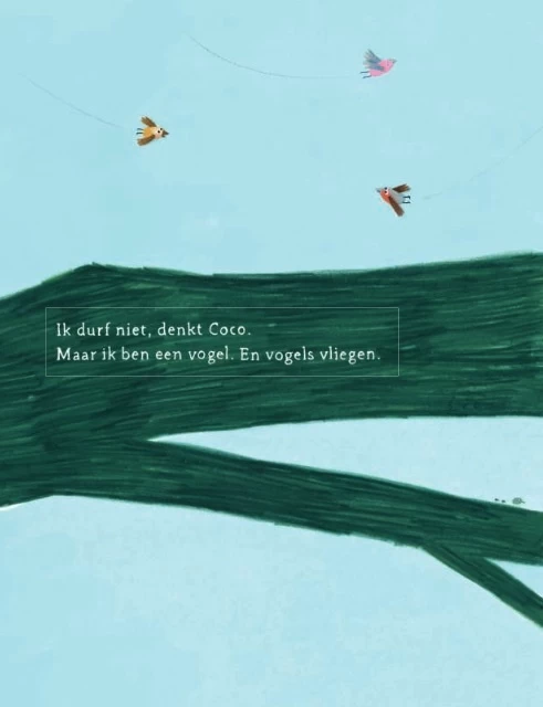 Coco Kan Het! Prentenboek - Afbeelding 5