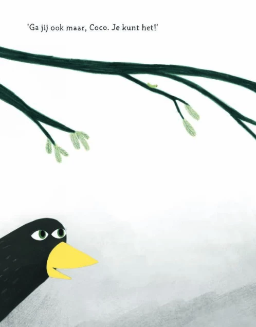 Coco Kan Het! Prentenboek - Afbeelding 6