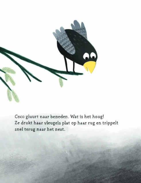 Coco Kan Het! Prentenboek - Afbeelding 7